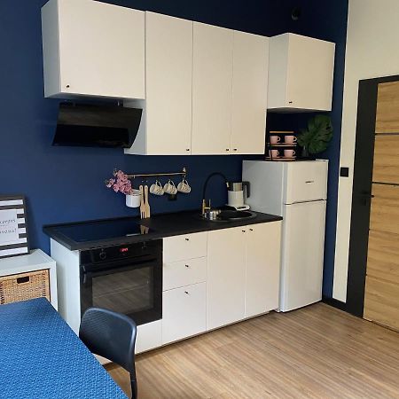 Przytulny I Nowoczesny Apartament Malgosi, 10 Min Pieszo Od Dworca I Galerii Kattowitz Exterior foto