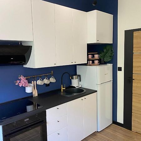 Przytulny I Nowoczesny Apartament Malgosi, 10 Min Pieszo Od Dworca I Galerii Kattowitz Exterior foto